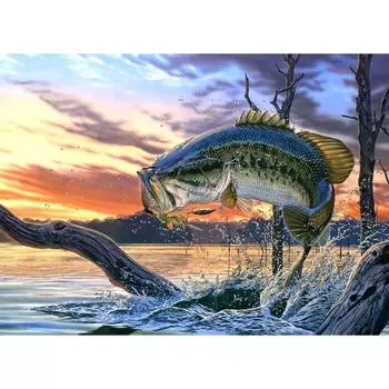 DIY 3D Алмазная картина Большая рыба Вышивка Крестом Стежок Главная Декор Full Round 20x25CM