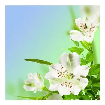 DIY 3D Алмазная картина Цветы Вышивка Крестом Стежок Главная Декор Full Round 20x20CM