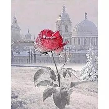 DIY 3D Алмазная картина Цветы Вышивка Крестом Стежок Главная Декор Full Round 20x25CM