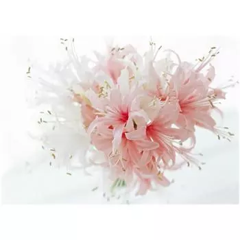 DIY 3D Алмазная картина Цветы Вышивка Крестом Стежок Главная Декор Full Round 20x25CM