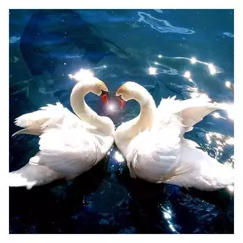 DIY 3D Алмазная картина Два лебедя Вышивка Крестом Стежок Главная Декор Full Round 20x20CM