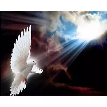 DIY 3D Алмазная картина Голубь мира Вышивка Крестом Стежок Главная Декор Full Round 20x25CM