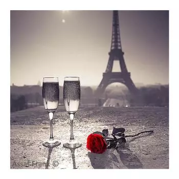 DIY 3D Алмазная картина Эйфелева башня Цветочная вышивка Крест ремесло Стежок Главная Декор Full Round 20x20CM