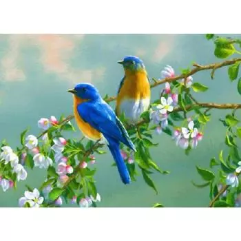 DIY 3D Алмазная картина Птицы Вышивка Крестом Стежок Главная Декор Full Round 20x25CM