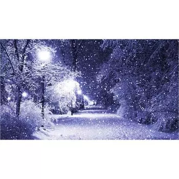 DIY 3D Алмазная картина Снежная вышивка Крестиком Главная Декор Full Round 20x50CM