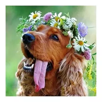 DIY 3D Алмазная картина Собака Венок Вышивка Крестом Стежок Главная Декор Full Round 20x20CM