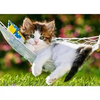 DIY 3D Алмазная картина животное кошка вышивка крестиком домашний декор Full Round 20x25CM