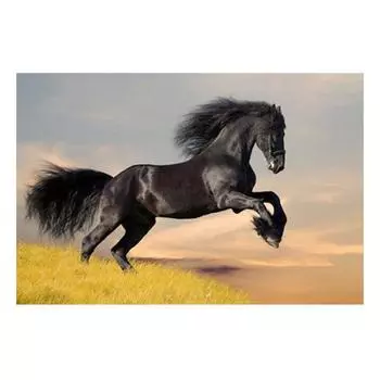 DIY 3D Алмазная картина Животное Лошадь Вышивка Крестом Стежок Главная Декор Full Round 20x25CM