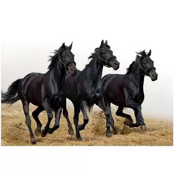 DIY 3D Алмазная картина Животное Лошадь Вышивка Крестом Стежок Главная Декор Full Round 20x25CM