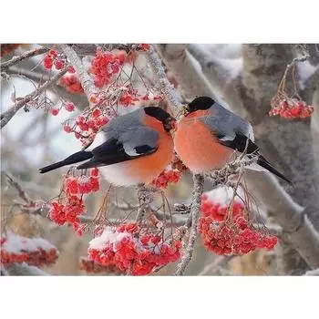 DIY 3D Алмазная картина животное птица вышивка крестиком домашний декор Full Round 20x25CM
