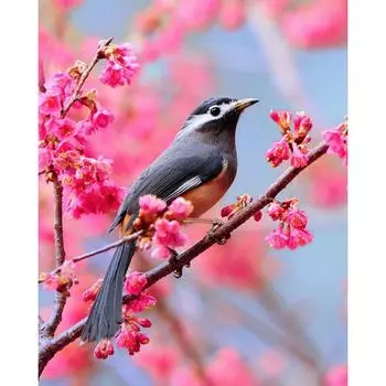 DIY 3D Алмазная картина животное птица вышивка крестиком домашний декор Full Round 20x25CM