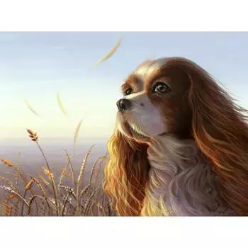 DIY 3D Алмазная картина животное собака вышивка крестиком домашний декор Full Round 20x25CM