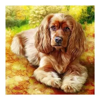 DIY 3D Алмазная картина животное собака вышивка крестиком домашний декор Full Round 20x20CM