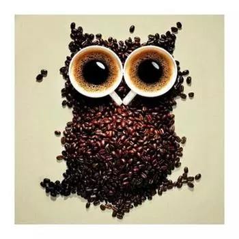 DIY 3D Алмазная картина Животное Сова Вышивка Крестом Стежок Главная Декор Full Round 20x20CM