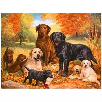 DIY 3D Алмазная картина животных Собаки Вышивка Крестом Стежок Главная Декор Full Round 20x25CM