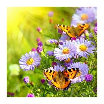 DIY 3D алмазная живопись цветы и бабочка вышивка крестиком домашний декор Full Round 20x20CM