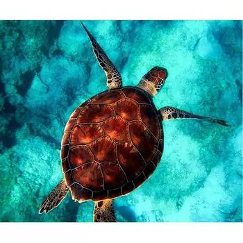 DIY 5D Алмазная картина Черепаха Вышивка крестиком Алмазная вышивка Узор со стразами Алмазная мозаика 20X30CM