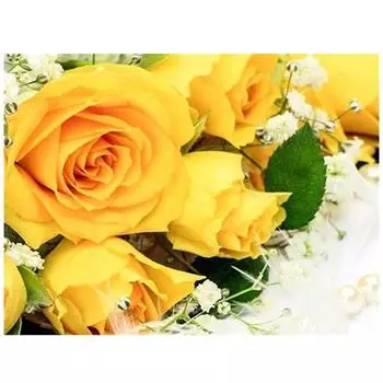 DIY 5D Алмазная картина Цветы Украшение дома Полная круглая алмазная вышивка 20X30CM