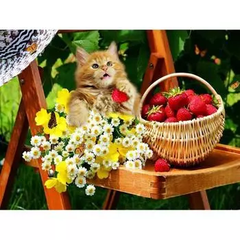 DIY 5D Алмазная картина Кошка Цветок Полный круглый Алмазная вышивка Крестом 20X30CM