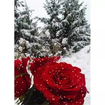 DIY 5D Алмазная картина Роза Цветок Вышивка крестиком Мозаика Алмазная вышивка 20X30CM