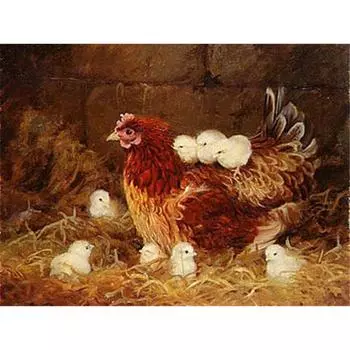 DIY 5D Алмазная картина Скотная ферма Курица Полный круглый Алмазная вышивка Крестом 20X30CM