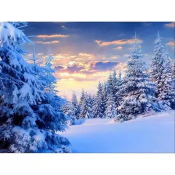 DIY 5D Алмазная картина Снежное дерево Мозаика Полный круглый Алмазная вышивка Крестом 20X30CM