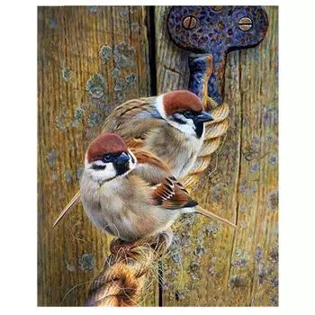 DIY 5d Алмазная картина Собака Вышивка Искусство Полный Алмазный вышивки крестом 20X30CM