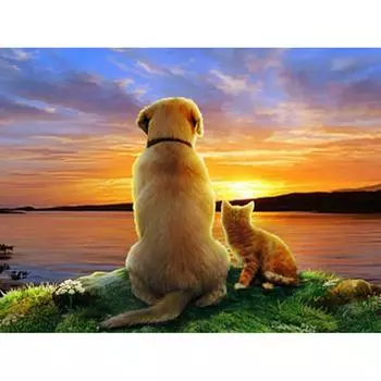 DIY 5D Алмазная картина Собака Животное Вышивка Ручная работа Художественные наборыУкрашение дома Новый подарок 20X30CM