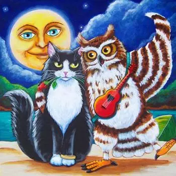 DIY 5D Алмазная картина Вышивка крестиком Картина Сова и кошка Алмазная вышивка Рукоделие 30X30CM