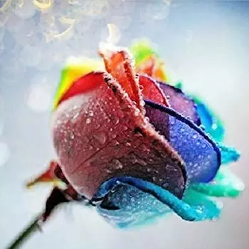 DIY 5D Алмазная картина Вышивка крестиком Картина цветок Алмазная вышивка Рукоделие 30X30CM