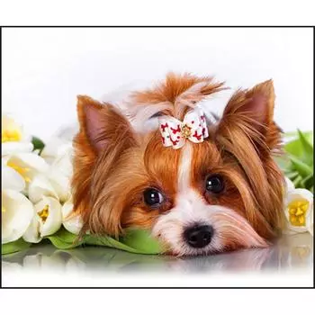 DIY 5D Алмазная картина Вышивка крестом Домашняя собака Мозаика Алмазная вышивка Рукоделие 20X30CM