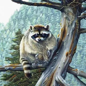 DIY 5D Алмазная картина Вышивка крестом Картина Енот Алмазная вышивка Рукоделие 30X30CM