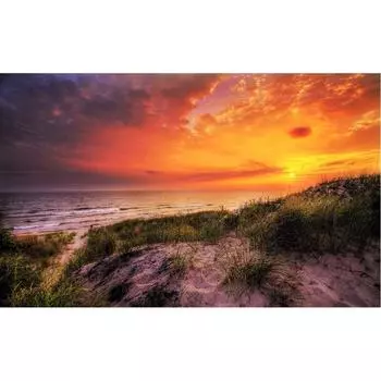 DIY 5D Алмазная картина Закат Вышивка Крест Стежок Главная Декор Full Round 20x25CM