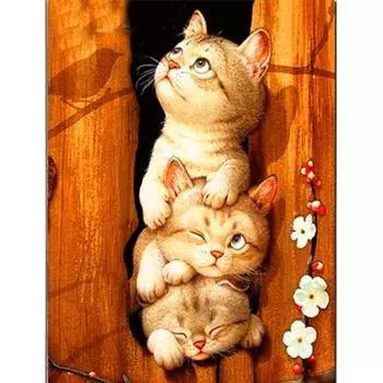 DIY 5D Алмазная картина Животное котенок Полная круглая Алмазная вышивка Вышивка Алмаз 20*30 cm