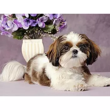 Diy 5D Алмазная картина Животные Собака Фото Алмазная вышивка Животные Домашний декор Подарок 20X30CM