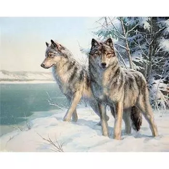 Diy 5d Алмазная Луна Снежный Волк Алмазная картина Животные Вышивка Rhinestone Kit 20X30CM