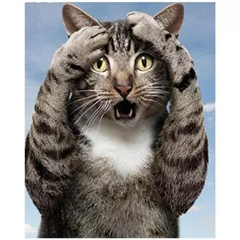 DIY 5D Алмазная вышивка Алмазная мозаика Круглая алмазная живопись Наборы для вышивки крестом Домашнее украшение 20X30CM