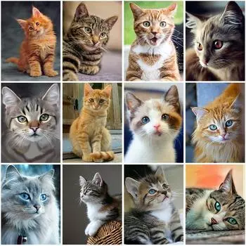 DIY 5D Алмазная вышивка мультфильм кот животное алмазная живопись вышивка крестиком круглые наборы мозаики из смолы настенное искусство подарок домашний декор Full Round 20x30CM