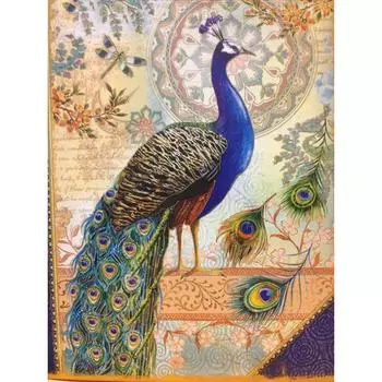 DIY 5D Алмазная вышивка животных Павлин Алмазная картина Вышивка крестиком Мозаика Картина комплект Домашний декор 20X30CM