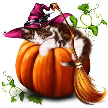 DIY 5D алмазная живопись Кот и тыква вышивка крестиком Алмазная мозаика полная вышивка животные картина стразы ручная работа искусство домашний декор Full Round 30X30CM