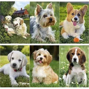 DIY 5D алмазная живопись милая собака Алмазная мозаика наборы крестиков украшение дома полная круглая алмазная вышивка Round 20x30cm