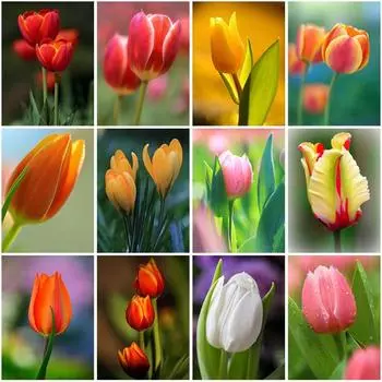 DIY 5D алмазная живопись Пейзаж Цветок Роза Алмазная вышивка ручной работы набор для вышивки крестом Рождественский подарок домашний декор настенное искусство Full Round 20x30CM