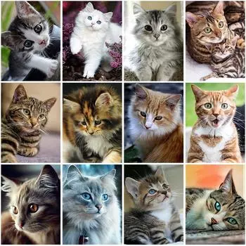 DIY 5d алмазная живопись полная круглая дрель кошка Алмазная вышивка животные картина вышивка крестиком мозаика настенная живопись подарок домашний декор Full Round 20x30CM