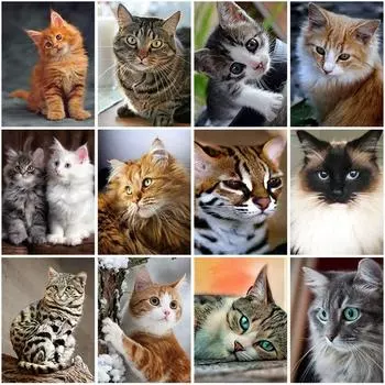 DIY 5D алмазная живопись полная круглая дрель смоляная мозаика животное Алмазная вышивка наборы крестиков настенные художественные наборы подарок домашний декор Full Round 20x30CM