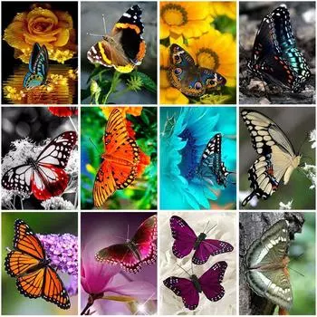 DIY 5D алмазная живопись полная круглая дрель бабочка цветок Алмазная вышивка крестиком мозаика стены книги по искусству домашний декор подарок Full Round 20x30CM