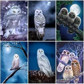 DIY 5d алмазная живопись полная круглая дрель Сова вышивка крестиком Алмазная вышивка бисером наборы картин животные животные настенное искусство домашний декор Full Round 20x30CM