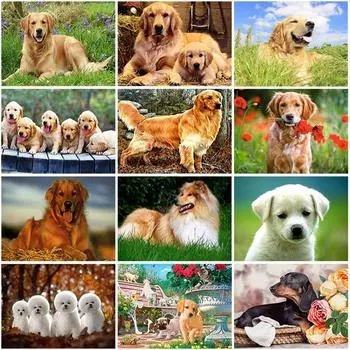 DIY 5D алмазная живопись собака полная круглая дрель Алмазная вышивка животное вышивка крестиком картина мозаика стразы домашний декор Full Round 20x30CM