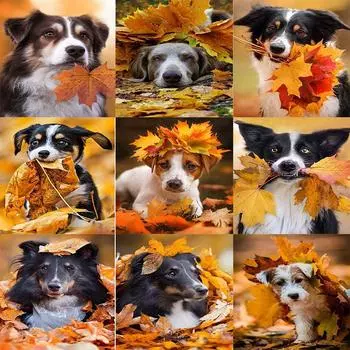 DIY 5D алмазная живопись «Собака в кленовом лесу» Алмазная мозаика наборы для вышивки крестом украшение дома полная круглая алмазная вышивка Round 20x30cm