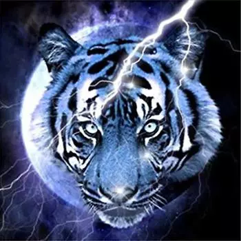DIY 5D алмазная живопись Тигр полный круглый горный хрусталь картины животных Алмазная вышивка крестиком мозаика домашний декор Full Round 20x20CM