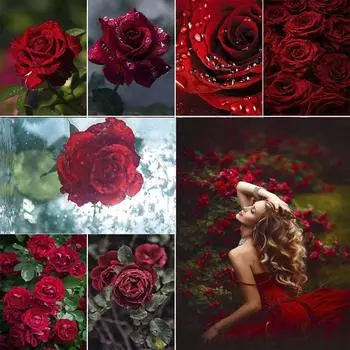 DIY 5D алмазная живопись Яркие розы Алмазная мозаика наборы крестиков украшение дома полная круглая алмазная вышивка Round 20x30cm